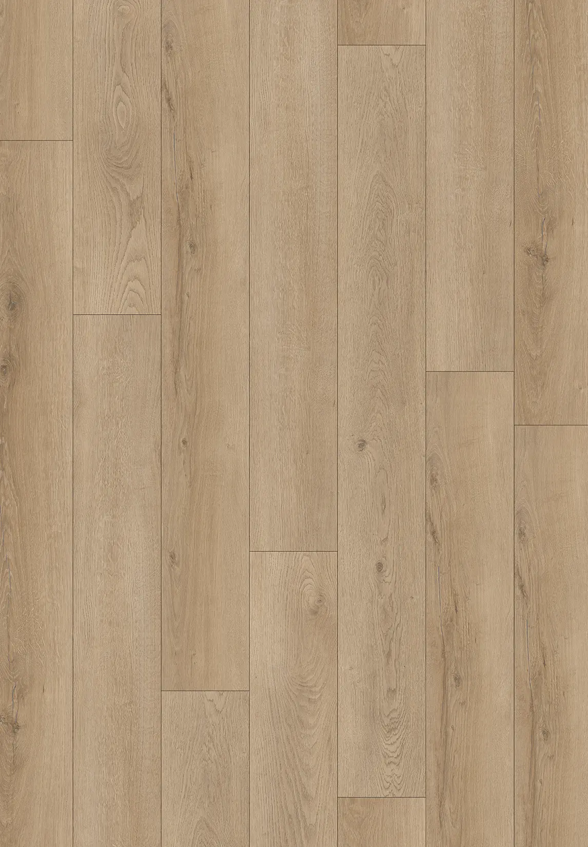 Pavimento SPC Sogega Genius Wood - Image 4