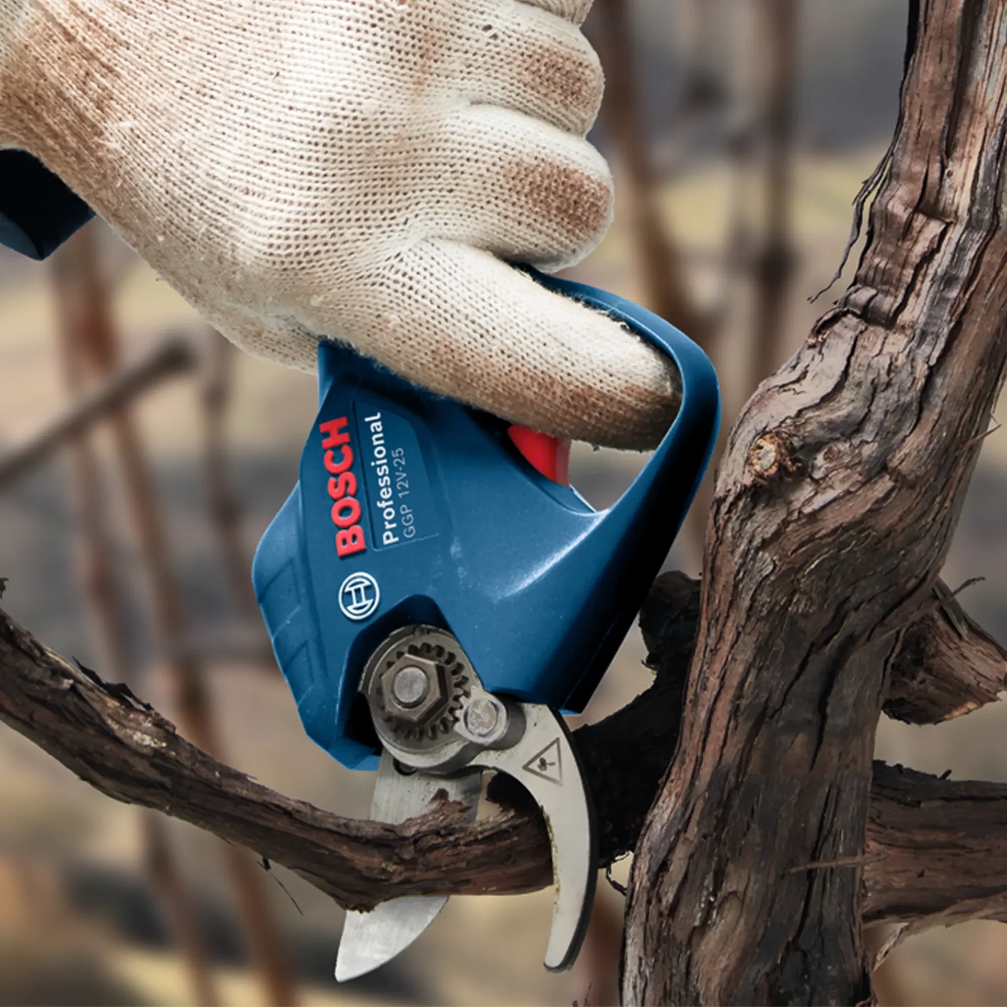 Potatore Bosch GGP 12V-25 3Ah - Image 4