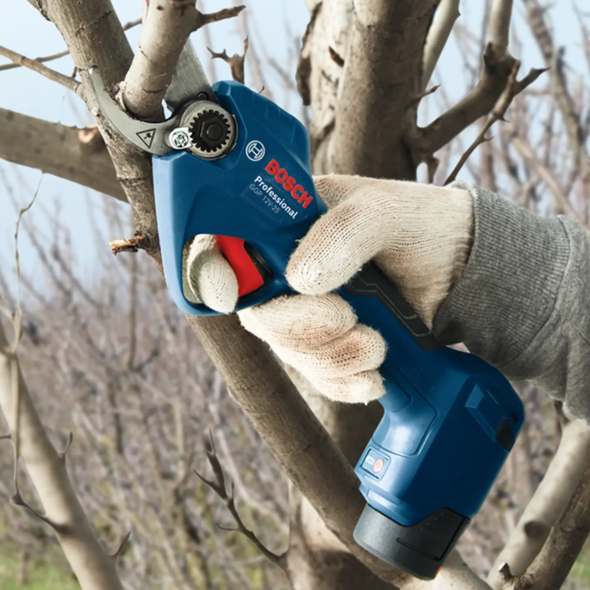 Potatore Bosch GGP 12V-25 3Ah - Image 5