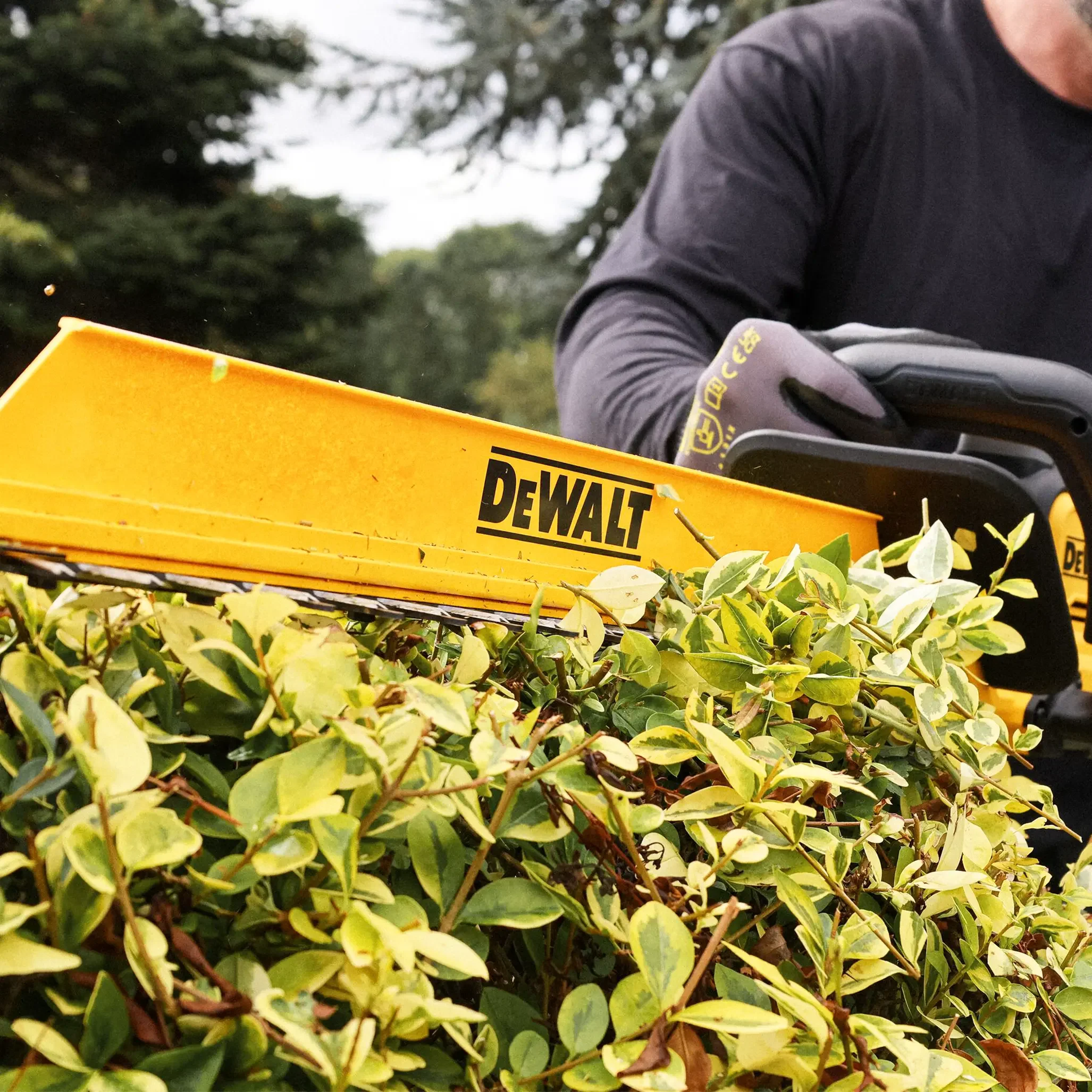 Tagliasiepi Dewalt DCMHT567P1-QW 18V 5Ah - Image 6