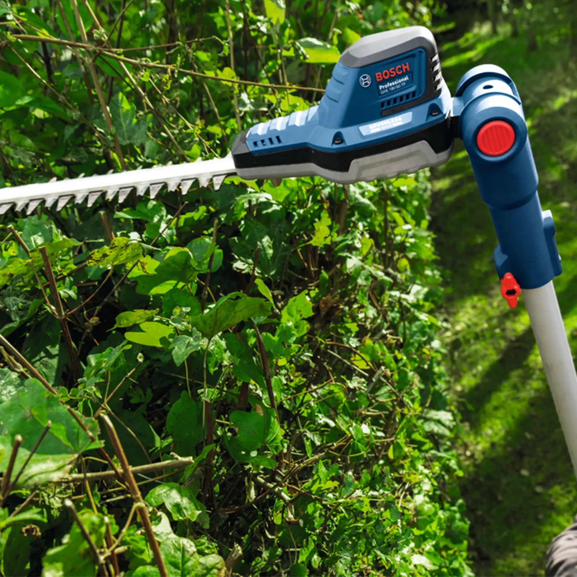 Tagliasiepi Telescopico Bosch GHE 18V-50 TP - Image 4